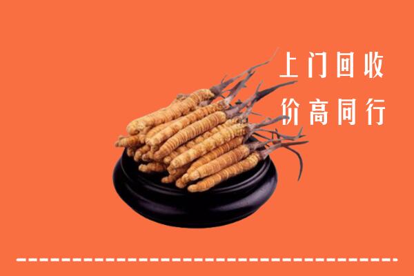 高价求购：卫辉市回收散虫草