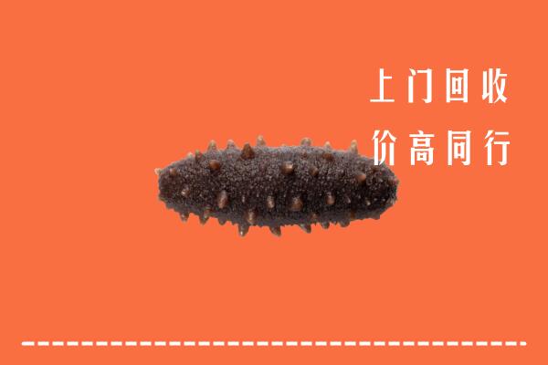 高价求购：卫辉市回收海参